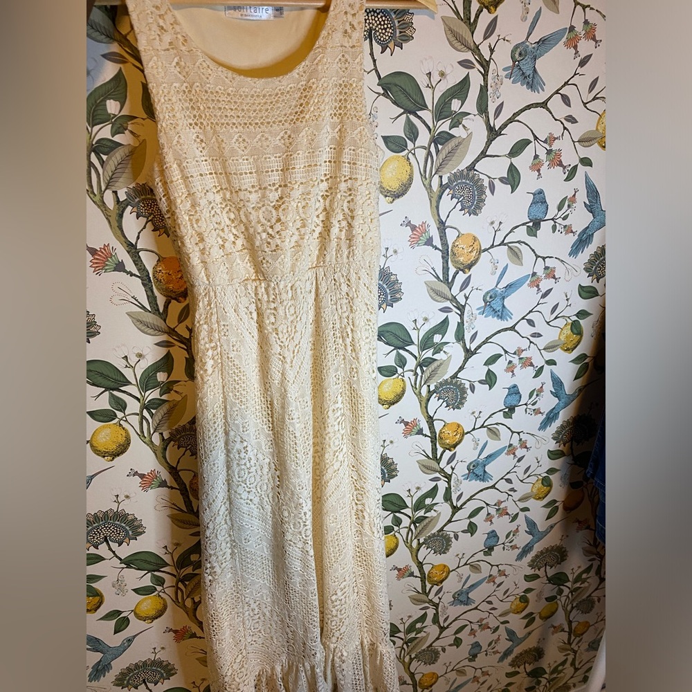 Elegant Cream Lace Dress - Picture 5 of 5